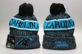 Cheap Carolina Panthers YP Beanie