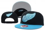 Cheap Detroit Red Wings Snapbacks YD014