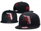 Cheap NFL Tampa Bay Buccaneers Stitched Snapback Hats 041