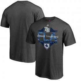 Wholesale Cheap Tampa Bay Rays Majestic 2019 Spring Training Grapefruit League Winner T-Shirt Gray