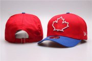 Cheap NHL Toronto Maple Leafs Stitched Snapback Hats