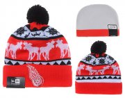 Cheap Detroit Red Wings Beanies YD005