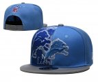 Cheap NFL Detroit Lions Hat TX 04181