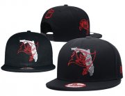 Cheap NFL Tampa Bay Buccaneers Stitched Snapback Hats 041